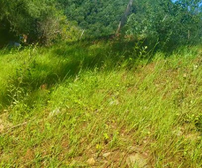 柳關(guān)欒盧鉛鋅礦|治理排土“瘡疤”，繪就綠色畫卷
